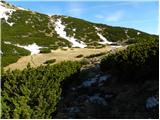 Jakobe - Feistritzer Spitze